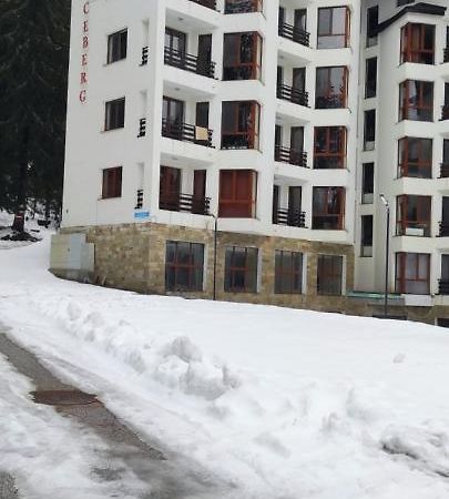Forest Place Διαμέρισμα Παμπόροβο Εξωτερικό φωτογραφία