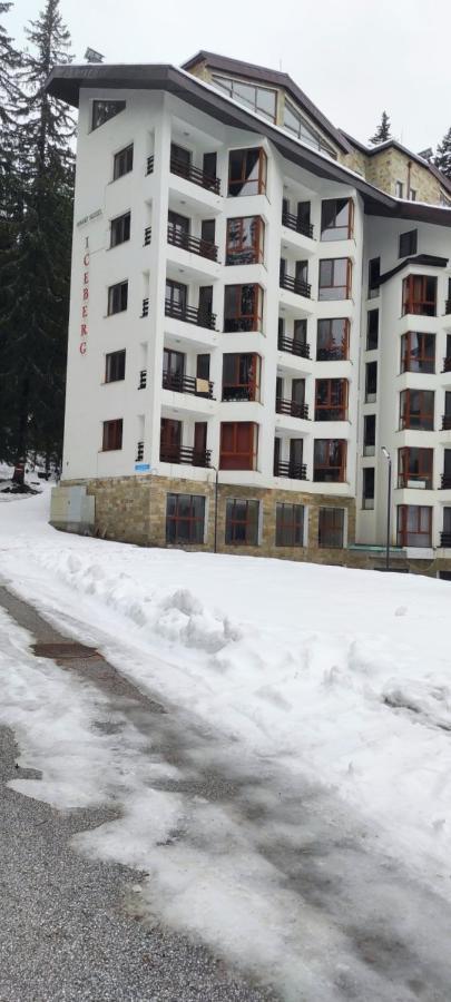 Forest Place Διαμέρισμα Παμπόροβο Εξωτερικό φωτογραφία